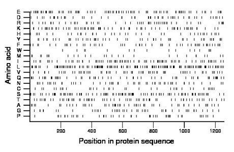 amino acid map