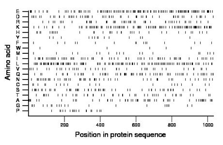 amino acid map