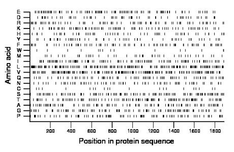 amino acid map