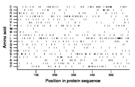 amino acid map