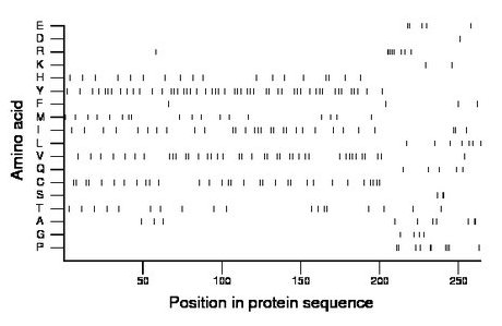 amino acid map