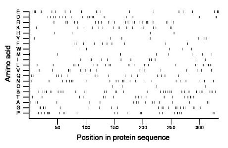 amino acid map