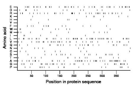 amino acid map