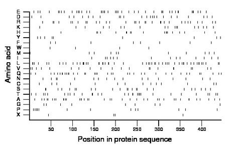 amino acid map