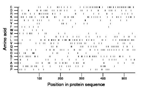 amino acid map