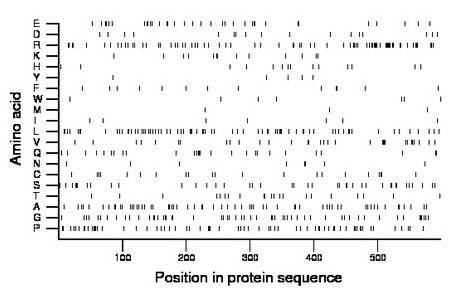 amino acid map