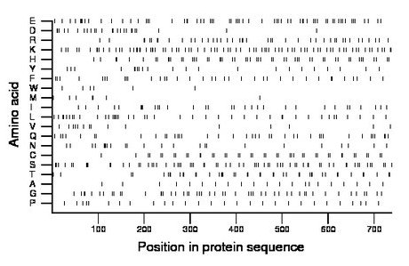 amino acid map