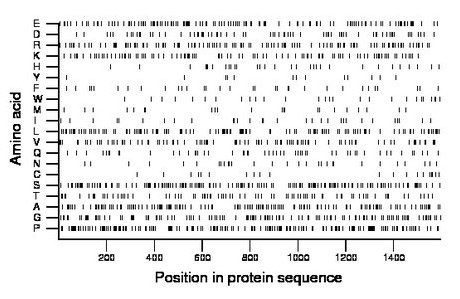 amino acid map