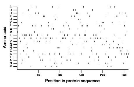 amino acid map