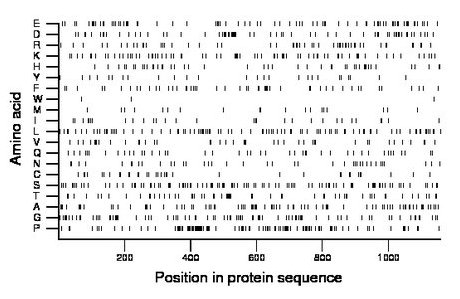 amino acid map