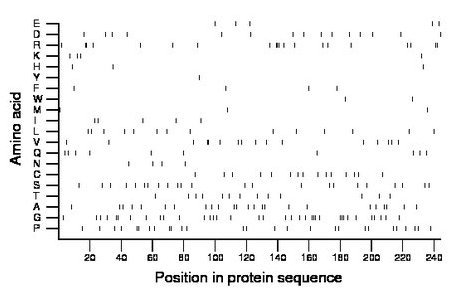 amino acid map