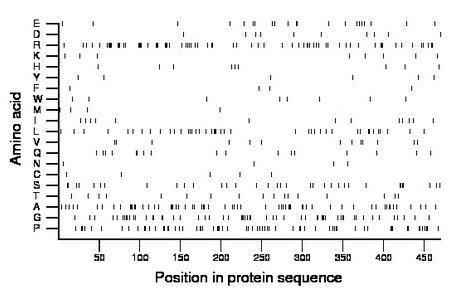 amino acid map