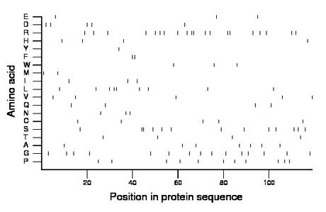 amino acid map