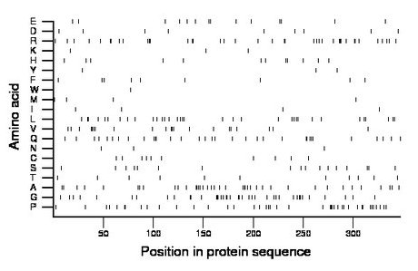 amino acid map