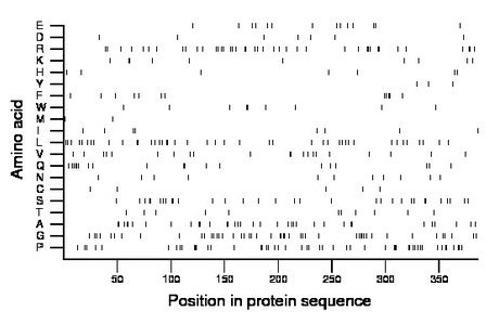 amino acid map