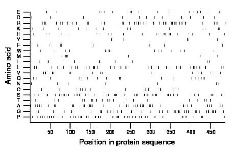 amino acid map