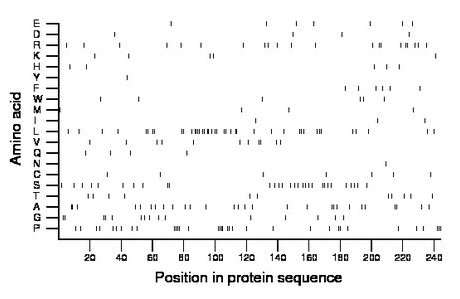 amino acid map