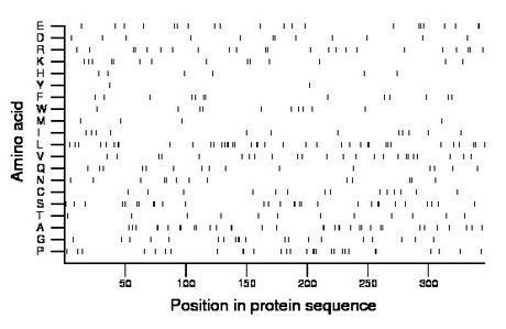 amino acid map