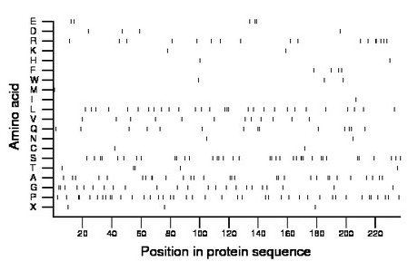 amino acid map