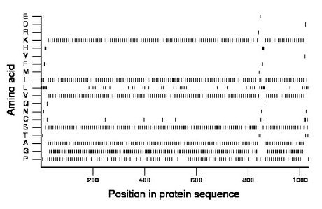 amino acid map