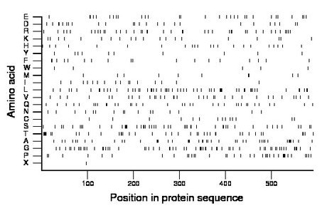 amino acid map