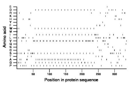 amino acid map