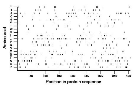 amino acid map