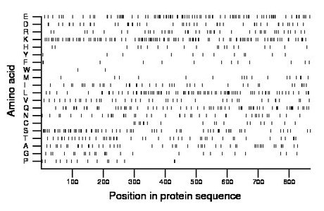 amino acid map