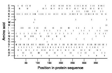 amino acid map