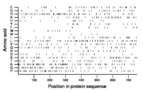 amino acid map