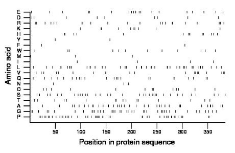 amino acid map