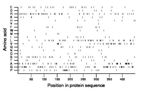 amino acid map