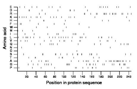 amino acid map