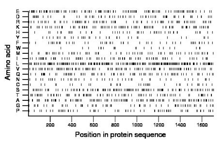 amino acid map