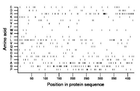 amino acid map