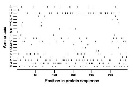 amino acid map