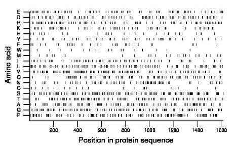 amino acid map