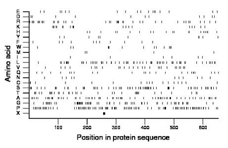 amino acid map