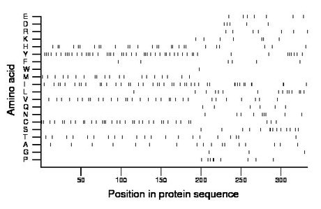 amino acid map