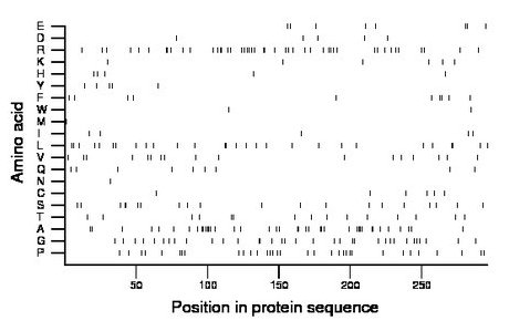 amino acid map