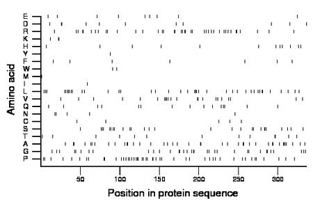 amino acid map