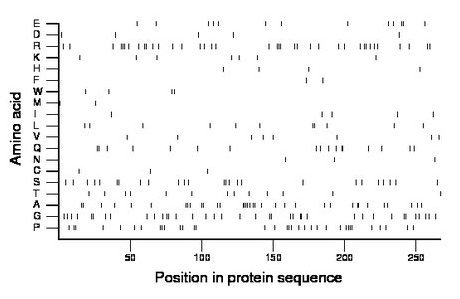 amino acid map