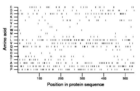 amino acid map