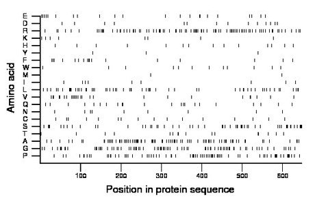 amino acid map