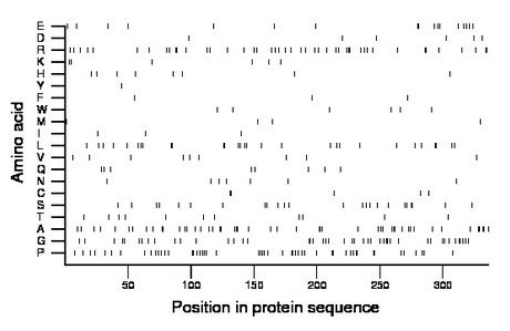 amino acid map