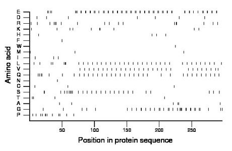 amino acid map