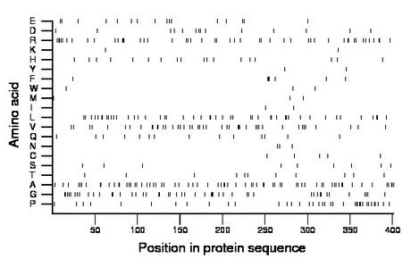 amino acid map