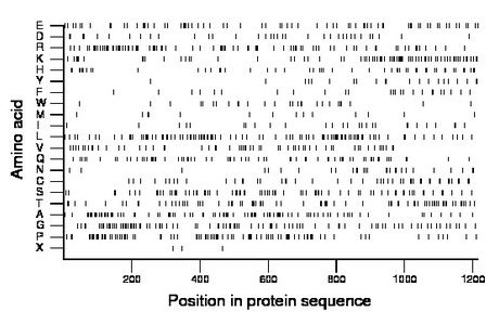 amino acid map