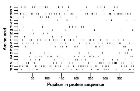 amino acid map