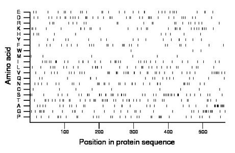 amino acid map